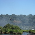  Rio Iguazu Superior 
