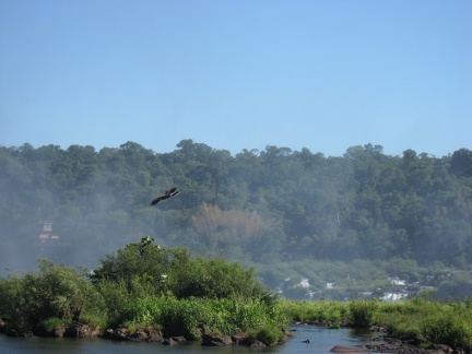  Rio Iguazu Superior 