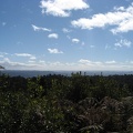  Erua Forest, Taranaki lookout 