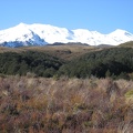  Mt Ruapehu view from Taranaki Falls track 