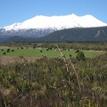  Mt Ruapehu view from National Park 
