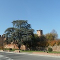  Castello medievale di Sarmato 