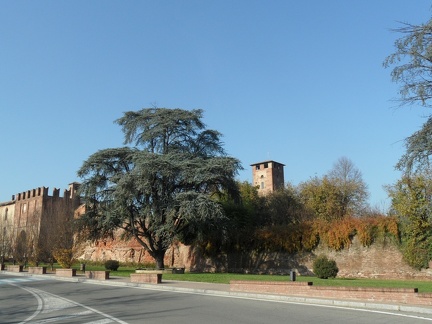  Castello medievale di Sarmato 