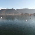  Il lago visto da Sarnico 