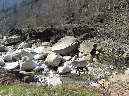  Scorcio del fiume Ticino 