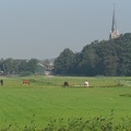  Stompwijk view from the country 