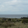  Tasman sea 