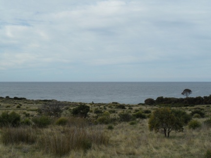  Tasman sea 